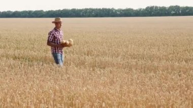Genç bir adam bir buğday alandan sepetin içinde ekmek taşıyor