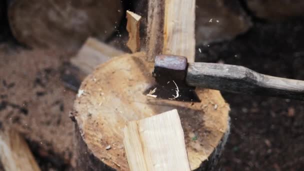 Wood chopping. Close-up shot — Stock Video