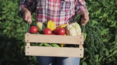 Çiftçi bir ahşap kutu farklı sebze ile taşır