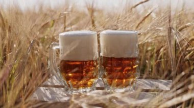 İki bardak soğuk bira standları bir ahşap kutu alanında üzerinde