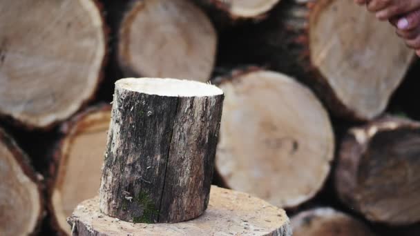 Chopping wood slow motion. — Stock Video