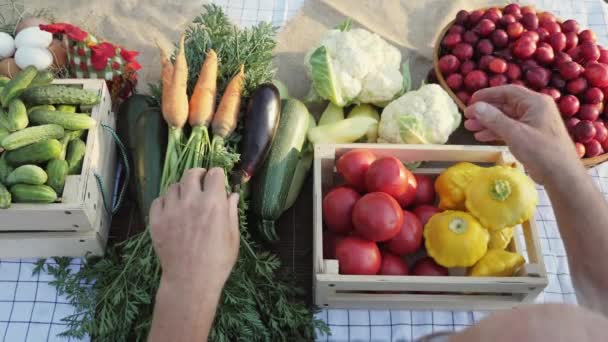 Vista superior de uma mesa com legumes frescos — Vídeo de Stock