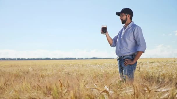 Фермер пьет темное пиво на ячменном поле на закате — стоковое видео