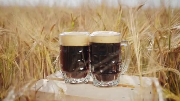 Due bicchieri di birra scura poggiano su una scatola di legno nel campo — Video Stock