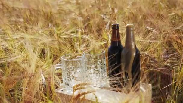 Zwei Gläser und Flaschen dunkles Bier stehen auf einer Holzkiste im Feld — Stockvideo
