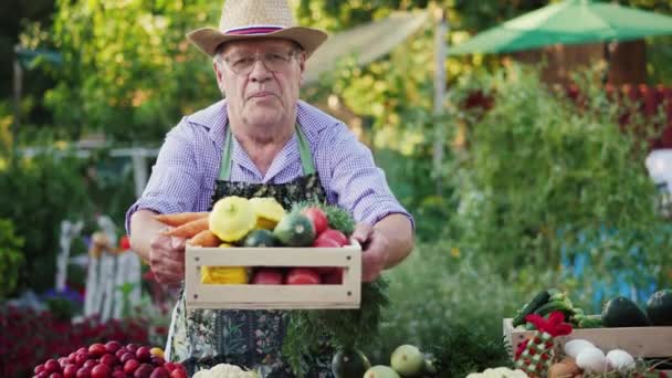 Um agricultor idoso está vendendo legumes no mercado agrícola — Vídeo de Stock