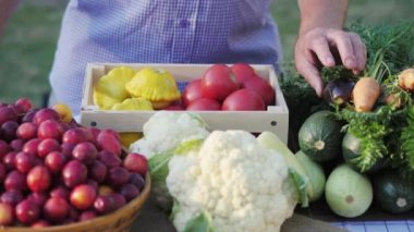 Bir tablo taze sebze ile üstten görünüm
