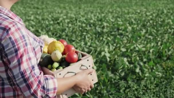 Kvinnlig bonde bär en trälåda med olika grönsaker — Stockvideo