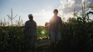 İki çiftçiler mısır mezarda günbatımında taşımak.