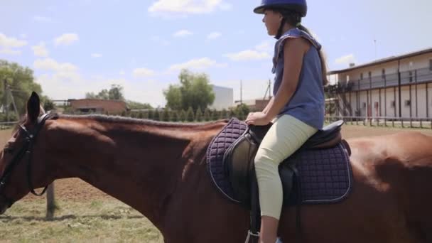 Hippotherapie revalidatie behandelt kind rijden op een paard — Stockvideo