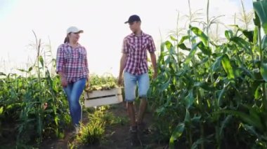 İki çiftçiler mısır mezarda günbatımında taşımak.