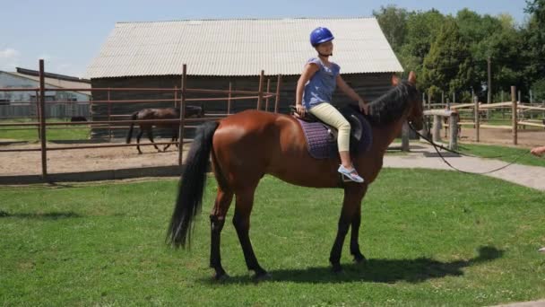Una niña está sentada en un caballo en un casco. — Vídeos de Stock