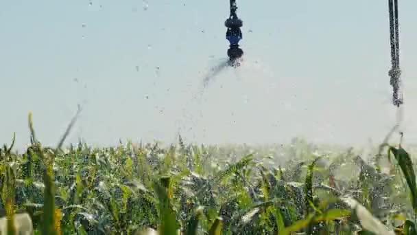 Automatische irrigatiesysteem op het veld — Stockvideo
