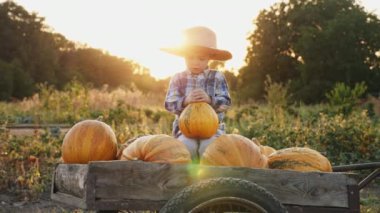 Küçük bir çocuk bir sepeti kabak ile oturuyor