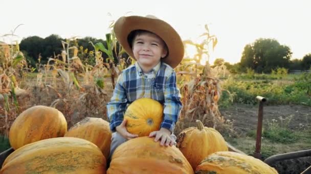 Un niño pequeño va en un carro con calabazas — Vídeo de stock