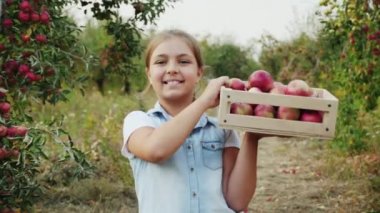 Ön görünüm: bir kız bir ahşap kutu elma tam omuzunda taşır. Elma meyve hasat. Steadicam slow motion video