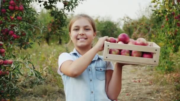 Front View Girl Carries Wooden Box Her Shoulder Full Apples — Stock Video