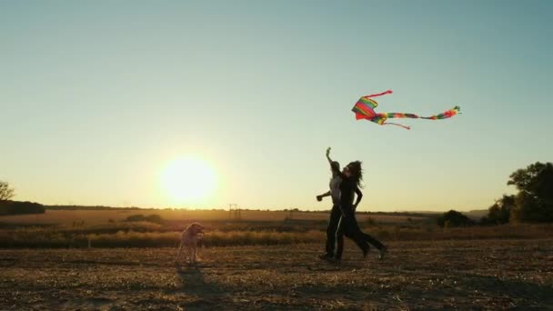 Belleza Joven Pareja Con Perro Corriendo Con Cometa Campo Hermosa — Vídeos de Stock