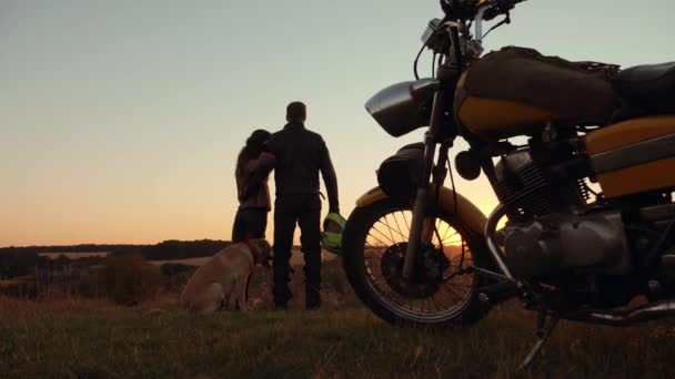 Attractive couple with dog watching the sunset — Stock Video