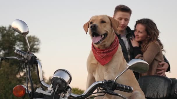 Dog Sitting Motorcycle Looking Distance Hugging Couple Background Royalty Free Stock Video