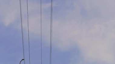 Alt görünümü iki yeşil kabin kablo bu arada mavi gökyüzü arka plan üzerinde hareket.