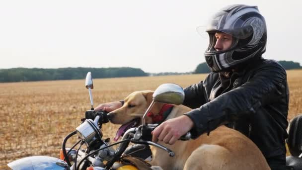 バイクに乗る人を犬します ヘルメットと犬の男は 屋外バイクに腰掛けての距離を見ています ステディカム スローモーション撮影 — ストック動画