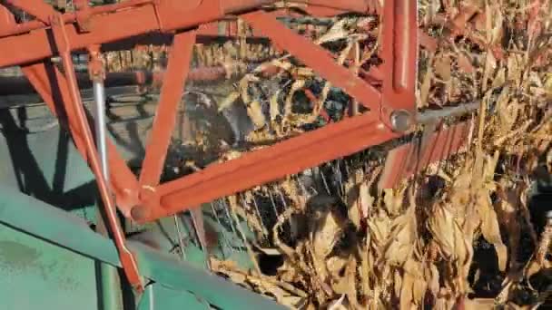 Reaping machine in action in slow motion — Stock Video