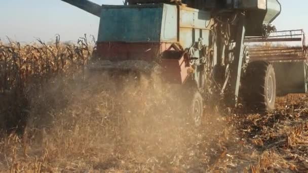 Combineren maaimachine werkt in een veld — Stockvideo