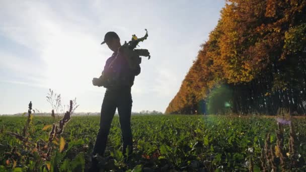 Человек держит корневой овощ из сахарной свеклы — стоковое видео