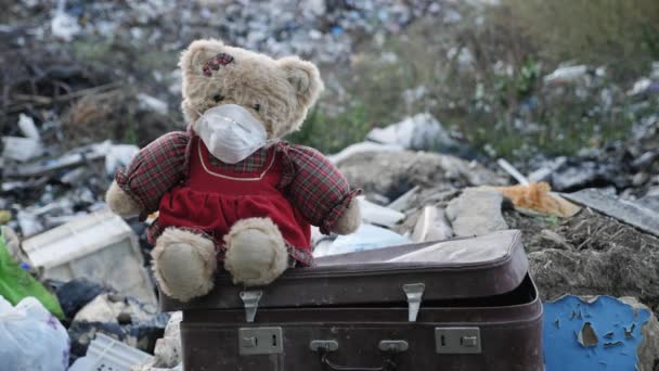 Brinquedo macio senta-se em uma velha mala em um depósito de lixo — Vídeo de Stock
