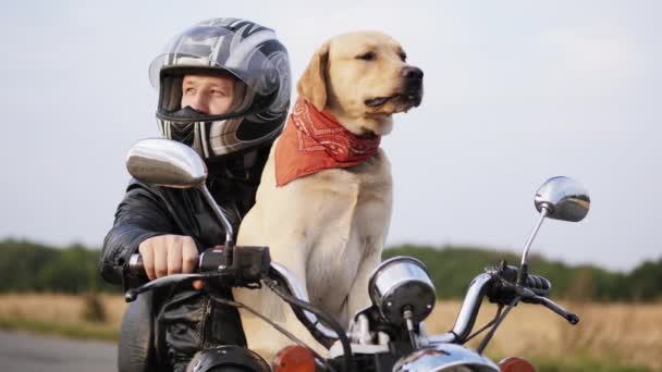 Bir motosiklet üzerinde bir köpekle motorcu — Stok video