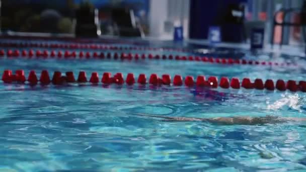 Attraente giovane nuotatore in piscina — Video Stock