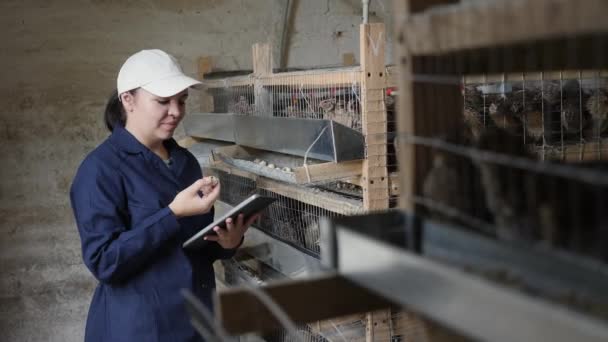 Een jonge vrouw maakt gebruik van een tablet op de boerderij van een kwartel — Stockvideo