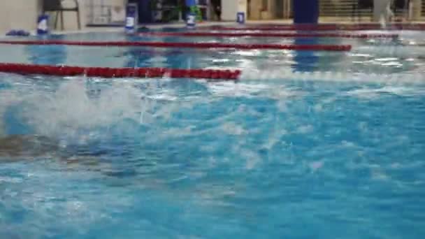Manliga simmare utför fjärilsim — Stockvideo