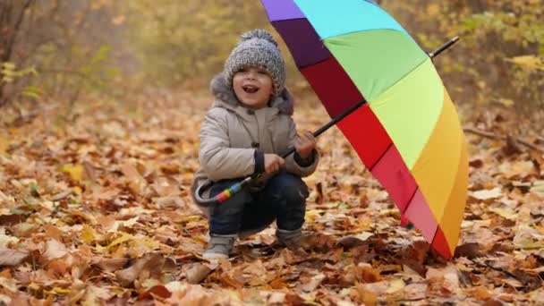 Un niño sonriente asomándose por un paraguas de arco iris — Vídeos de Stock