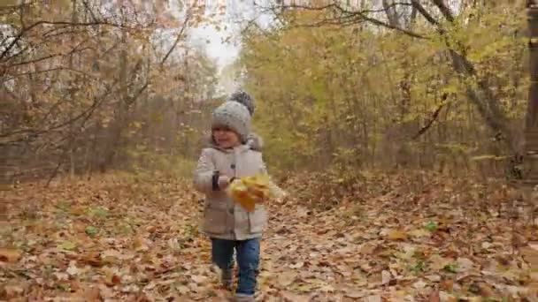 Fröhlicher kleiner Junge läuft energisch die herbstliche Parkstraße entlang — Stockvideo