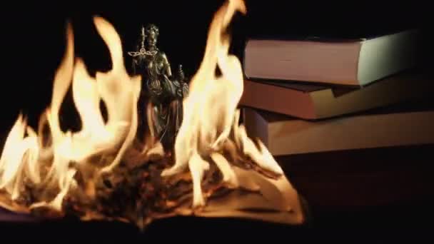 Книга горит ярким пламенем — стоковое видео