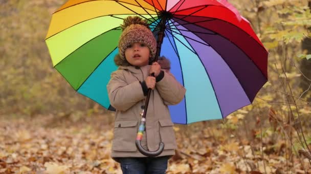 Niño sonriente sosteniendo un gran paraguas multicolor — Vídeos de Stock
