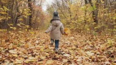 Enerjik olan sonbahar park lane çalışan neşeli küçük çocuk