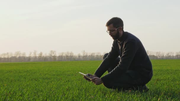 Bir çiftçi bir kış buğday alanında dijital tablet ile fotoğraf yapar — Stok video