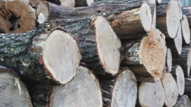 Kışa hazır odun yığınları.