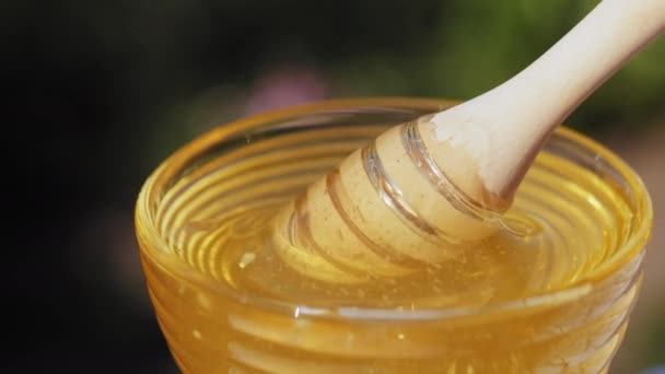 蜂蜜。滴る蜜。ひしゃくと蜂蜜を抽出。蜂蜜 drizzler. — ストック動画