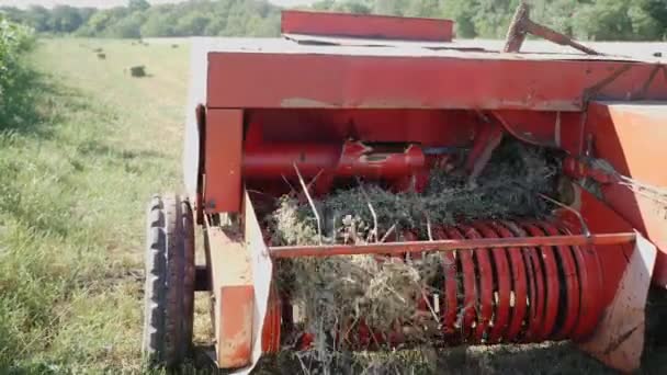 Mecanismo de recolección de hierba seca o paja — Vídeo de stock