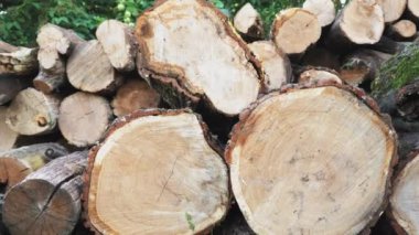 Kışa hazır odun yığınları.