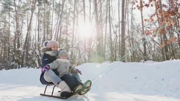 无法辨认的母亲带着孩子拉雪橇 — 图库视频影像