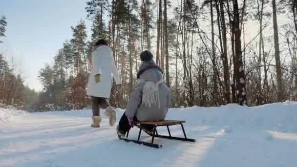 Young mother rolls her son on sledding — Stock Video