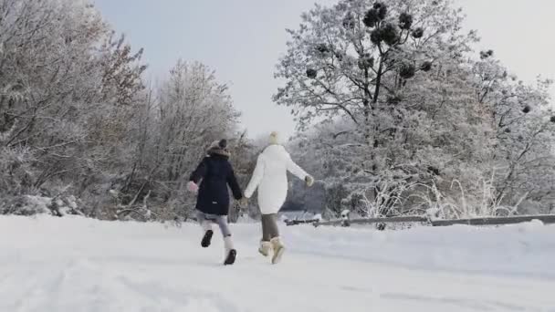 Familia Feliz Corriendo Largo Carretera Nevada Aire Fresco Helado Las — Vídeo de stock