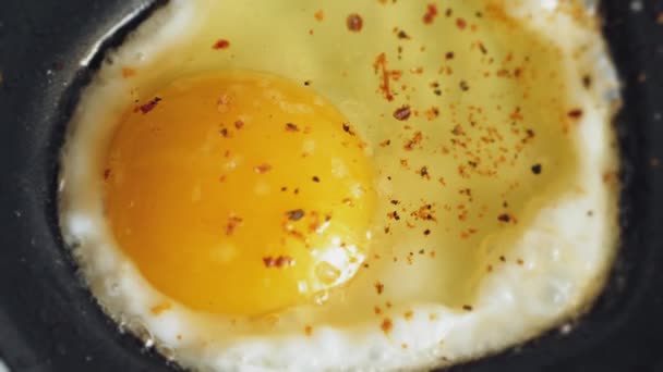 Cuire un oeuf frit à partir d'un oeuf dans une mini poêle. Extrême gros plan vidéo 