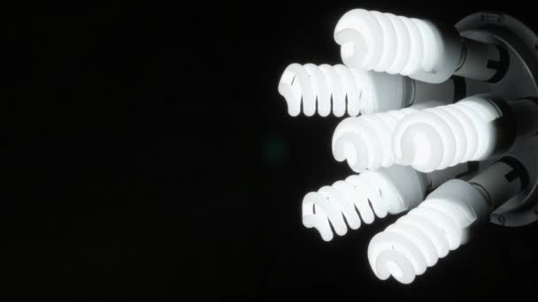 Шість Енергозберігаючих Спіральних Ламп Вимикаються Одна Одною Темному Тлі Лампи — стокове відео