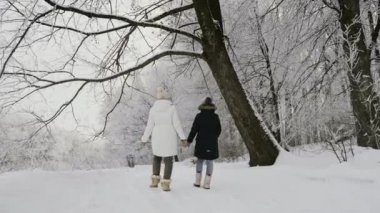 Arkadan Görünüş mutlu aile dağlık temiz soğuk havada karlı yol boyunca yürüyüş. Anne ve kızı elele kışın karlı ormandaki gitmek. Steadicam ağır çekim video